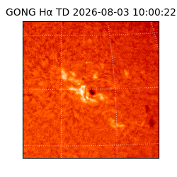 gong - 2026-08-03T10:00:22
