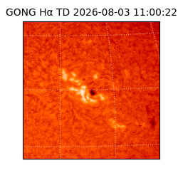 gong - 2026-08-03T11:00:22