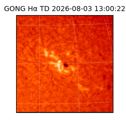 gong - 2026-08-03T13:00:22