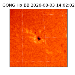 gong - 2026-08-03T14:02:02
