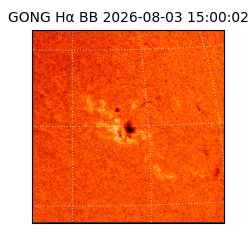 gong - 2026-08-03T15:00:02