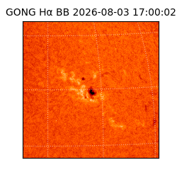 gong - 2026-08-03T17:00:02