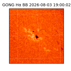 gong - 2026-08-03T19:00:02