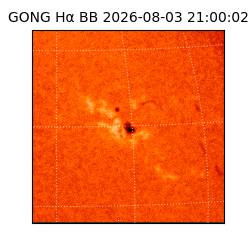 gong - 2026-08-03T21:00:02