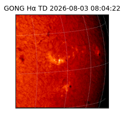 gong - 2026-08-03T08:04:22