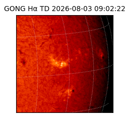 gong - 2026-08-03T09:02:22