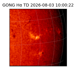 gong - 2026-08-03T10:00:22