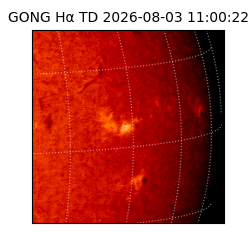 gong - 2026-08-03T11:00:22