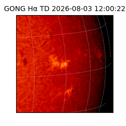 gong - 2026-08-03T12:00:22