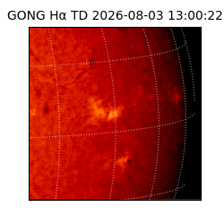 gong - 2026-08-03T13:00:22