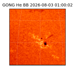 gong - 2026-08-03T01:00:02