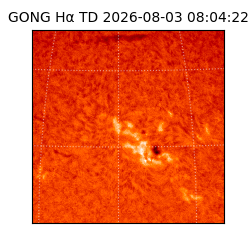 gong - 2026-08-03T08:04:22