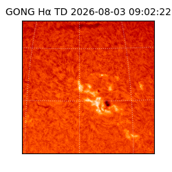 gong - 2026-08-03T09:02:22