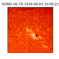 gong - 2026-08-03T10:00:22