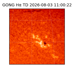 gong - 2026-08-03T11:00:22