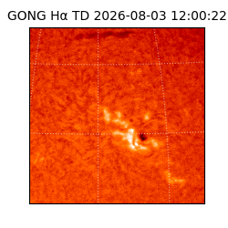 gong - 2026-08-03T12:00:22