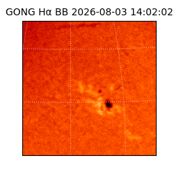 gong - 2026-08-03T14:02:02