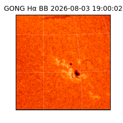 gong - 2026-08-03T19:00:02