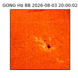 gong - 2026-08-03T20:00:02