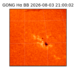 gong - 2026-08-03T21:00:02