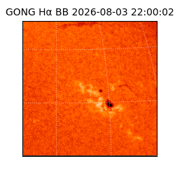 gong - 2026-08-03T22:00:02