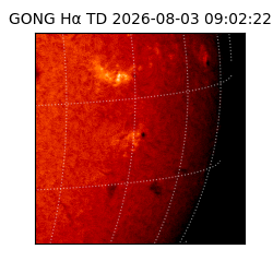gong - 2026-08-03T09:02:22