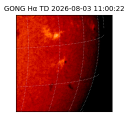 gong - 2026-08-03T11:00:22