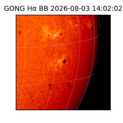gong - 2026-08-03T14:02:02