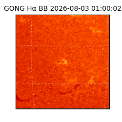 gong - 2026-08-03T01:00:02