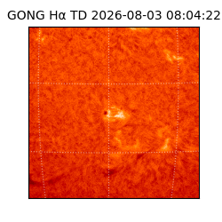 gong - 2026-08-03T08:04:22