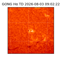 gong - 2026-08-03T09:02:22