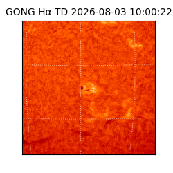 gong - 2026-08-03T10:00:22