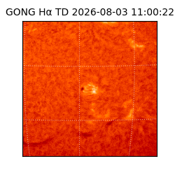 gong - 2026-08-03T11:00:22