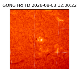 gong - 2026-08-03T12:00:22