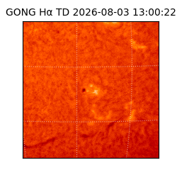 gong - 2026-08-03T13:00:22