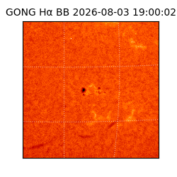 gong - 2026-08-03T19:00:02