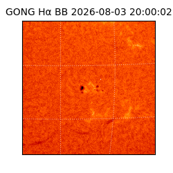 gong - 2026-08-03T20:00:02