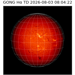 gong - 2026-08-03T08:04:22