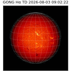 gong - 2026-08-03T09:02:22