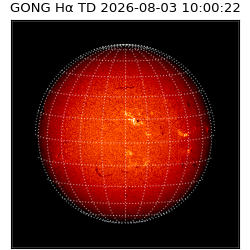 gong - 2026-08-03T10:00:22