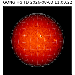 gong - 2026-08-03T11:00:22