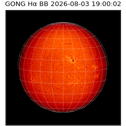gong - 2026-08-03T19:00:02