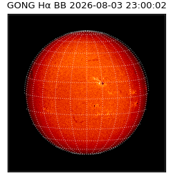 gong - 2026-08-03T23:00:02