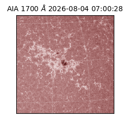 saia - 2026-08-04T07:00:28.717000