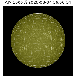 saia - 2026-08-04T16:00:14.122000