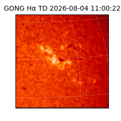 gong - 2026-08-04T11:00:22