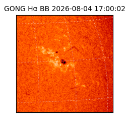 gong - 2026-08-04T17:00:02