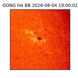 gong - 2026-08-04T19:00:02