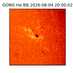 gong - 2026-08-04T20:00:02