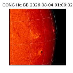 gong - 2026-08-04T01:00:02